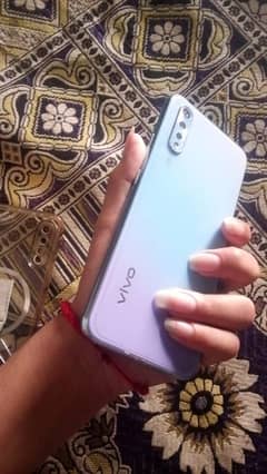 vivo
