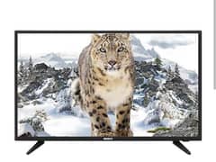 Orient 32" Led tv