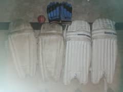 cricket