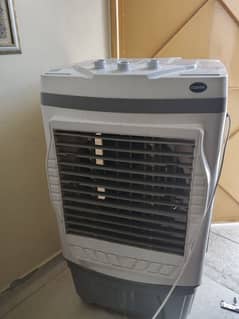 10 by 10 condition 8 months used