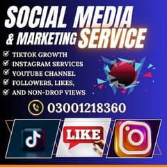TikTok followers likes views, Instagram, YouTube, Facebook services