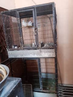 2 door cages good condition