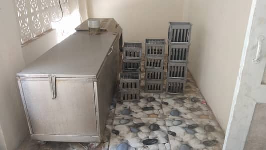 ICE CANDY with (14 MOULDS), Single phase