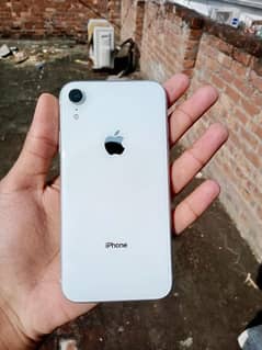 iphone xr 64GB 80 healt water pack jv