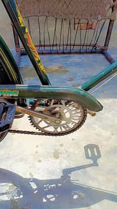 Phoenix original bicycle. . . .
