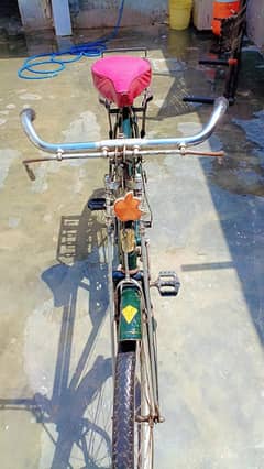 bicycle original Phoenix
