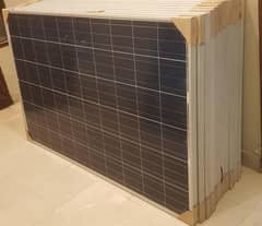 Yangli Solar Panels 250 watts Brand New