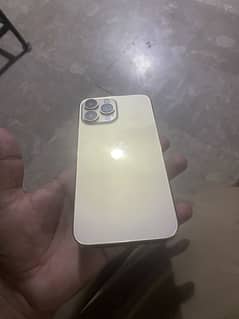 Iphone 13PM