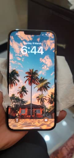 Iphone 13 pro max 256gb PTA approved