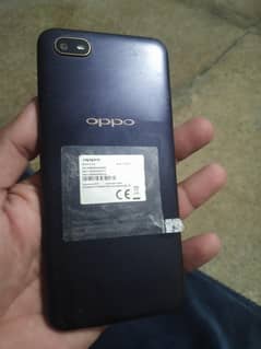 opo