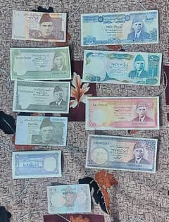old crruncynote in other hoobies