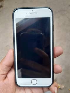 iphone 6 pta aproved