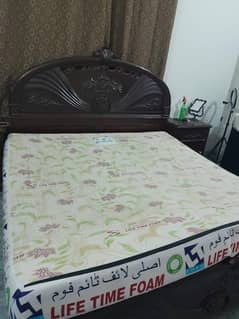lifetime mattress