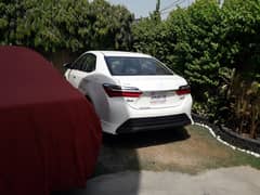 brand