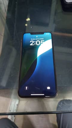 xs max non pta