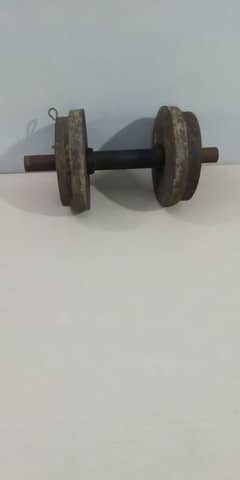 dumbells