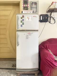 Gaba fridge with stand