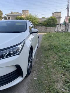 Altis 1.6 total guanine