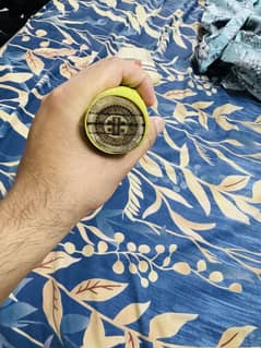 Cricket