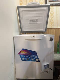 300P W Single Door Freezer