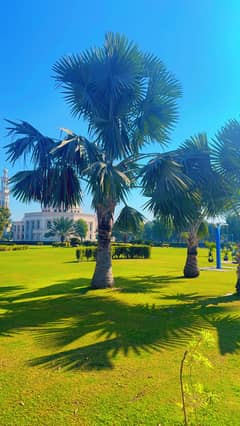 10 Marla Open Foem Land Quota Residential Plot For Sale In Bahria Town Lahore