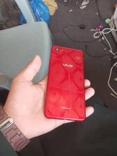 vivo