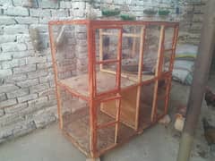 Birds Cage