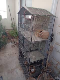 bird cage