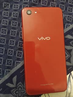 vivo