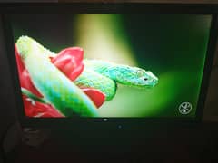 60Hz LED Monitor with HDMI support