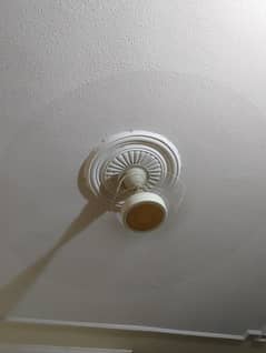 Royal fan in Excellent working condition