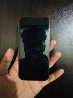13 pro