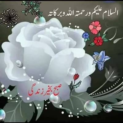 Malik Yasir Usman