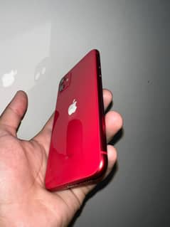 whattapp 03151927379