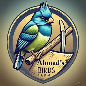 Ahmad birds farm