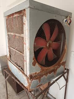 full size cooler with stand