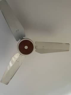 Royal Fan - Ceiling