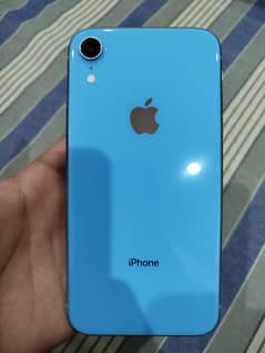 Iphone XR (JV)