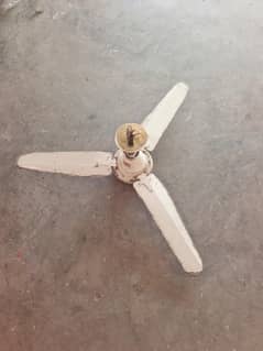 Ceiling Fan