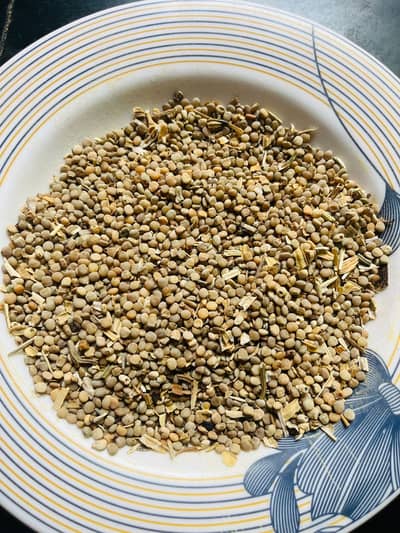 Gawara high quality Beej for sale