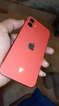 Iphone 12 Lush For Sale