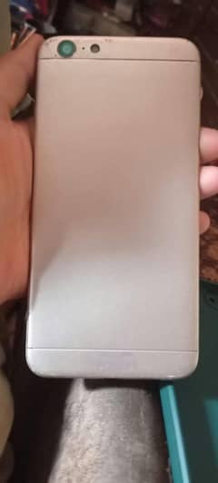 mahilbaig255