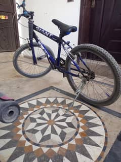 Giant Bycycle