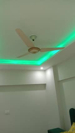 I-8 One Kanal Lower Ground With Separate Gate For Rent