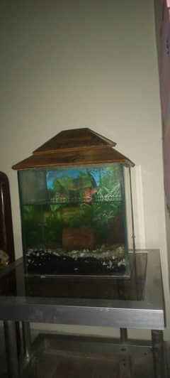 Fish