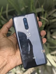oneplus 8