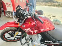 model 2022 ybr