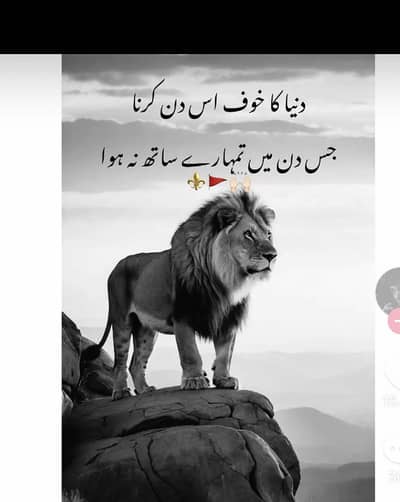Ahmad Ali