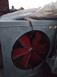 Used
