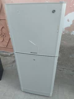 Pel  medium size